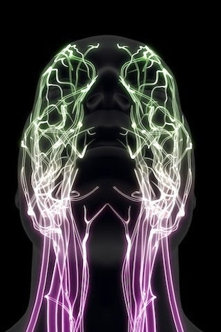 医学3D人体美图:透视女性乳房_健康频道