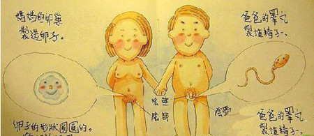 我从哪里来 香港幼儿园性教育教材里的插图(图