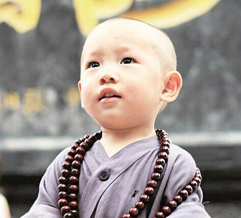1岁男童穿小和尚服 武汉归元寺内拍照走红